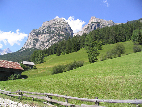 Vale muntoasa verde val badia foto